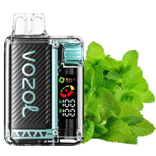 Vozol Vista 20000. М'ята (Miami Mint)